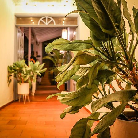 Aura Hotel Parque Barichara By Infinity Bagian luar foto