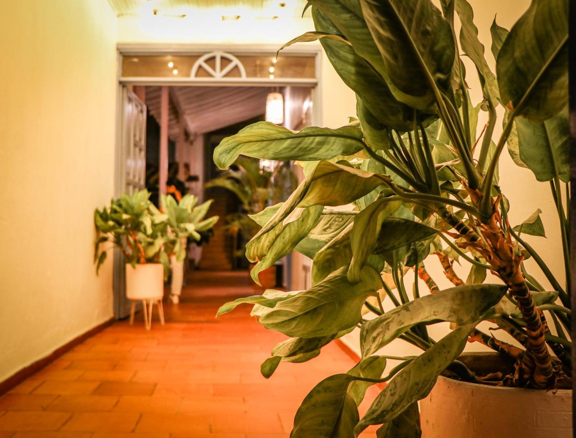 Aura Hotel Parque Barichara By Infinity Bagian luar foto